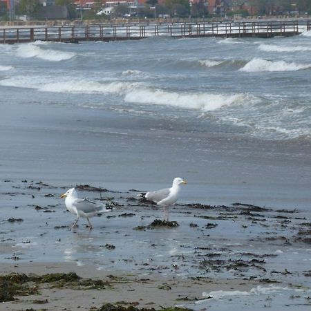 Rieger Fw 3 Daire Eckernförde Dış mekan fotoğraf